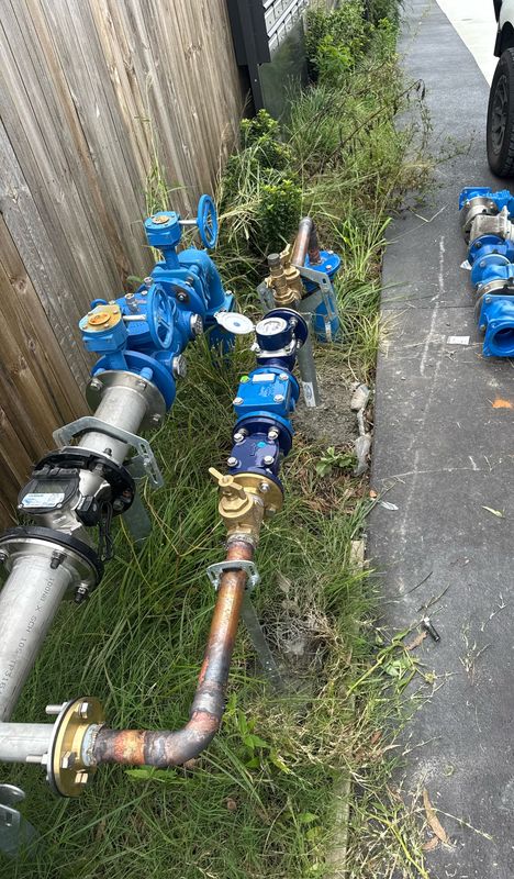 Water meter and backflow prevention assembly with blue valves